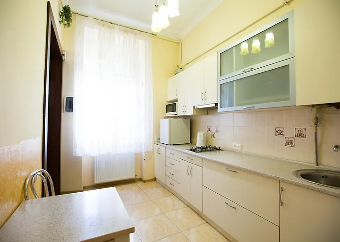 простора від власника на проспекті шевченка 14 напроти макдональтсу Lviv